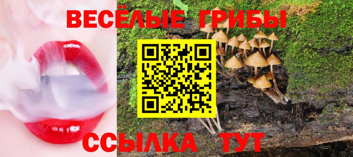 Галлюциногенные грибы Psilocybine cubensis Кыштым