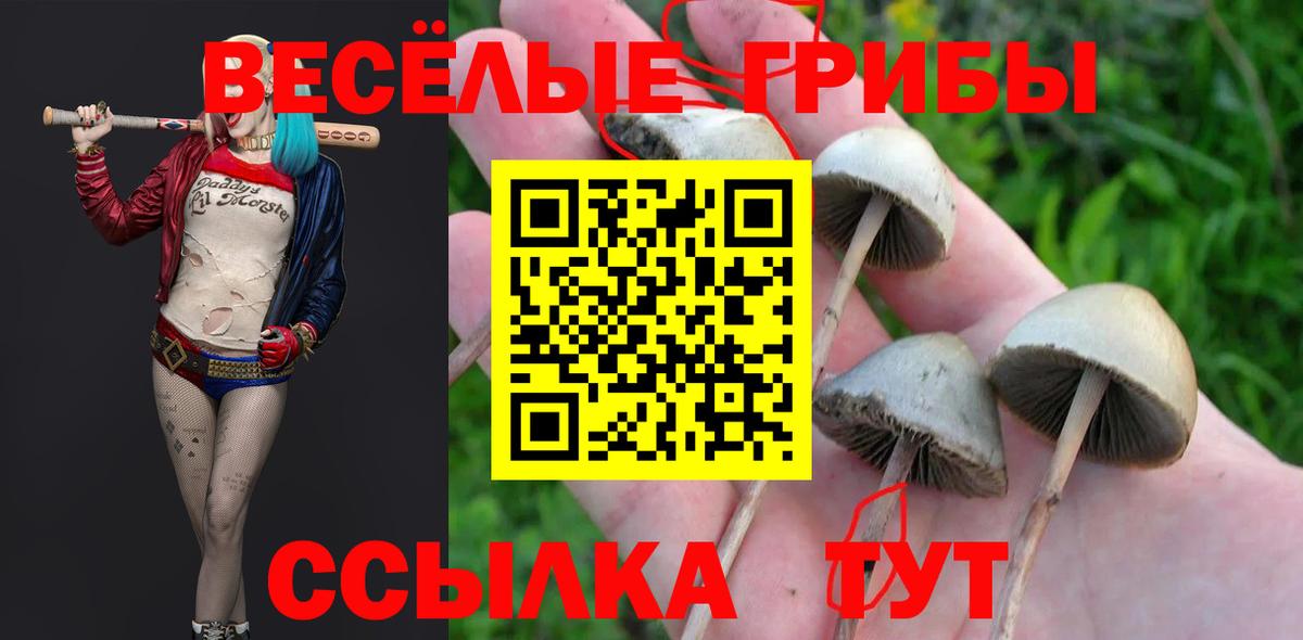 Галлюциногенные грибы Cubensis  Вход с VPN  Кыштым 